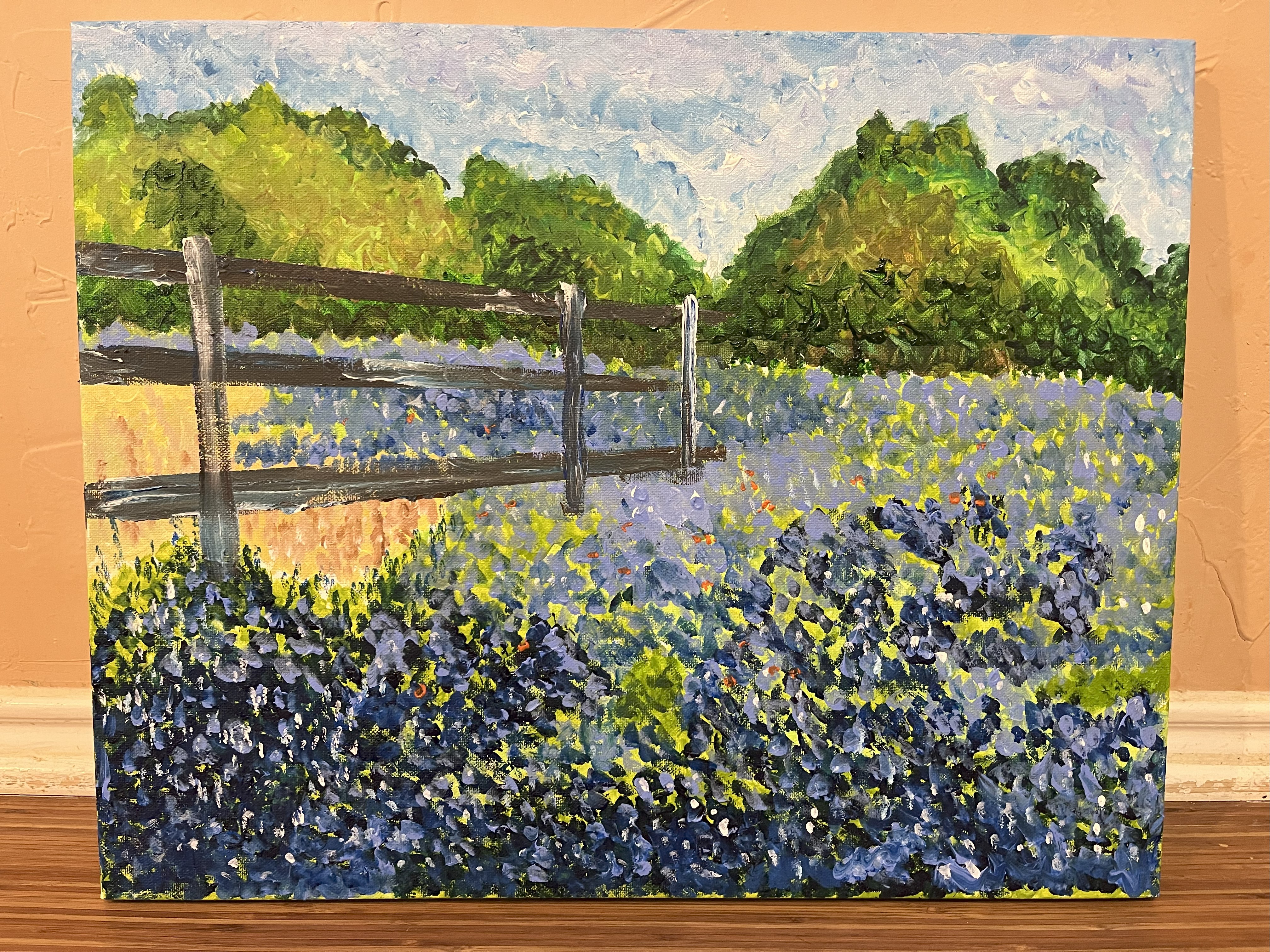 Some bluebonnets and Indian paintbrushes on a farm